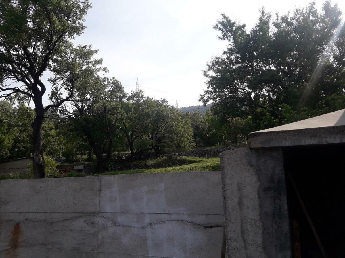 Apartment Tin 塞尼 外观 照片
